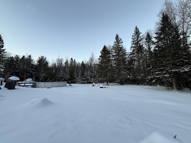 view of yard covered in snow