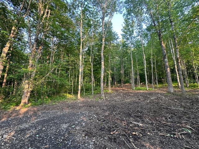 20612A Hope Rd, Camden, ME 04843 - photo 4
