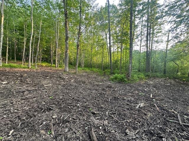 20612A Hope Rd, Camden, ME 04843 - photo 5