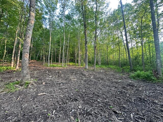 20612A Hope Rd, Camden, ME 04843 - photo 7
