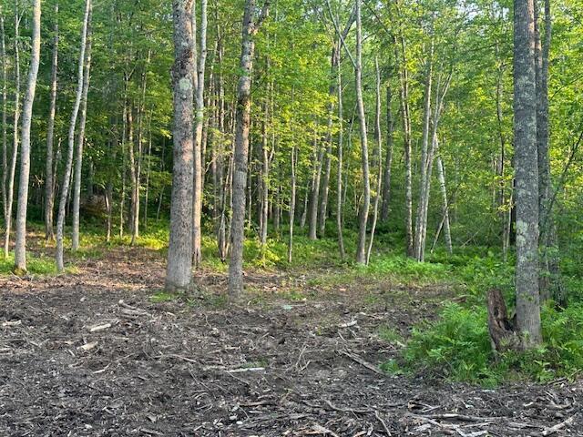 20612A Hope Rd, Camden, ME 04843 - photo 10