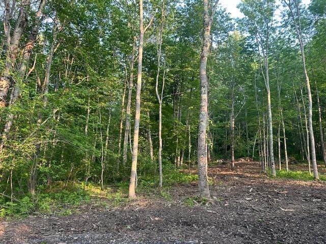 20612A Hope Rd, Camden, ME 04843 - photo 12