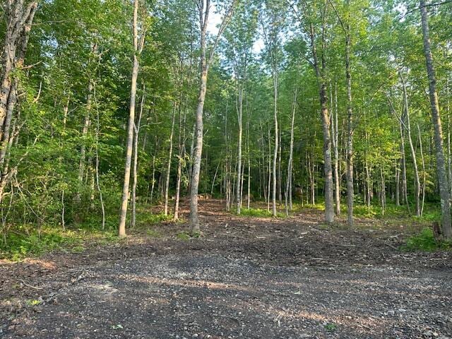 20612A Hope Rd, Camden, ME 04843 - photo 13