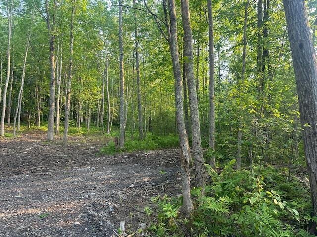 20612A Hope Rd, Camden, ME 04843 - photo 14