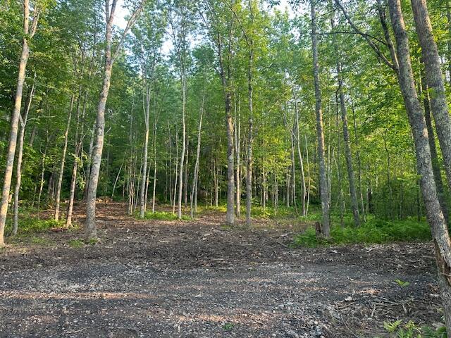 20612A Hope Rd, Camden, ME 04843 - photo 3