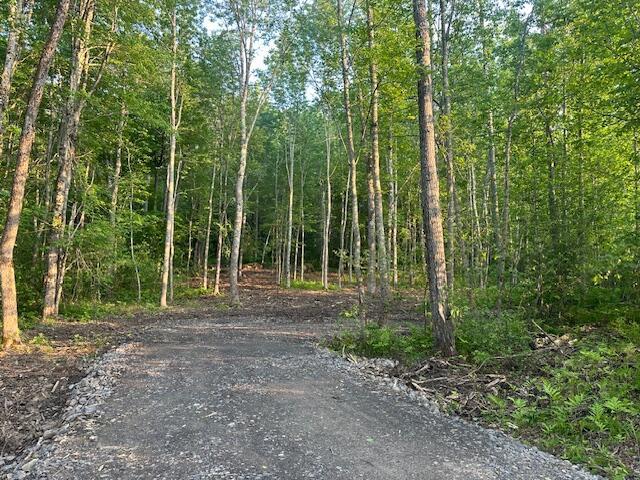 20612A Hope Rd, Camden, ME 04843 - photo 11