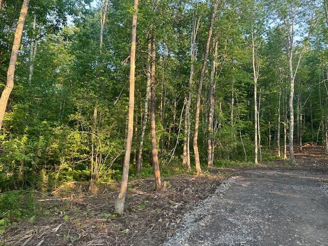 20612A Hope Rd, Camden, ME 04843 - photo 15
