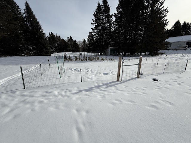 view of snowy yard