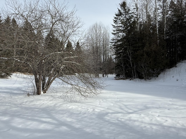 view of yard covered in snow