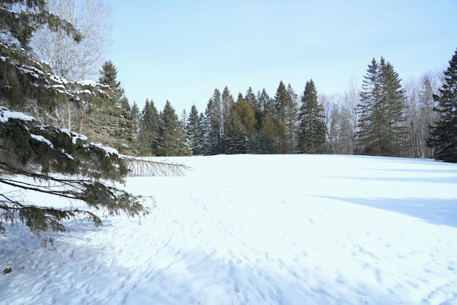 view of yard covered in snow