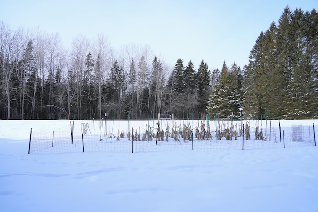 view of yard layered in snow