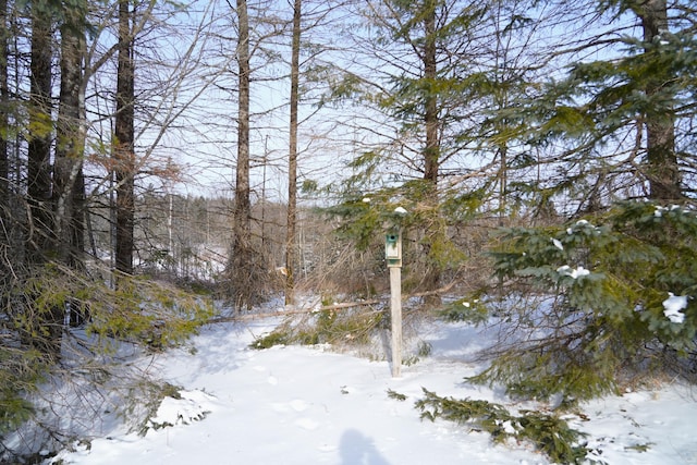 view of snow covered land