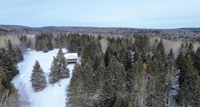 view of snowy aerial view