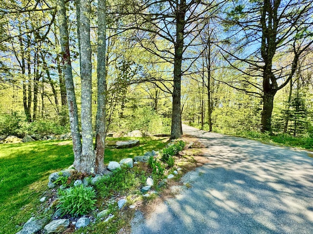 18 Patricia Ln, Saint George, ME 04859 - view of road with a forest view