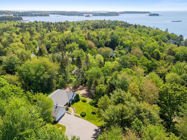 18 Patricia Ln, Saint George, ME 04859 - view of subject property featuring a nearby body of water and a heavily wooded area