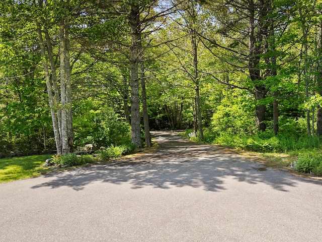 18 Patricia Ln, Saint George, ME 04859 - view of asphalt road featuring a wooded view