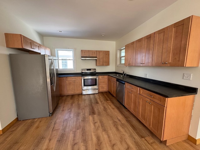 kitchen featuring appliances with stainless steel finishes, sink, and light hardwood / wood-style flooring