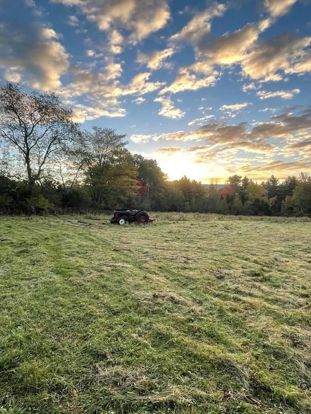 view of yard with a rural view