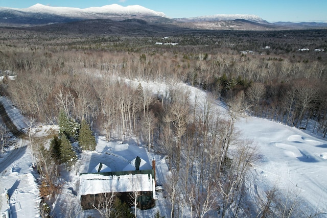 6101-6102 Village On The Green Rd, Carrabassett Valley, ME 04947 - photo 4