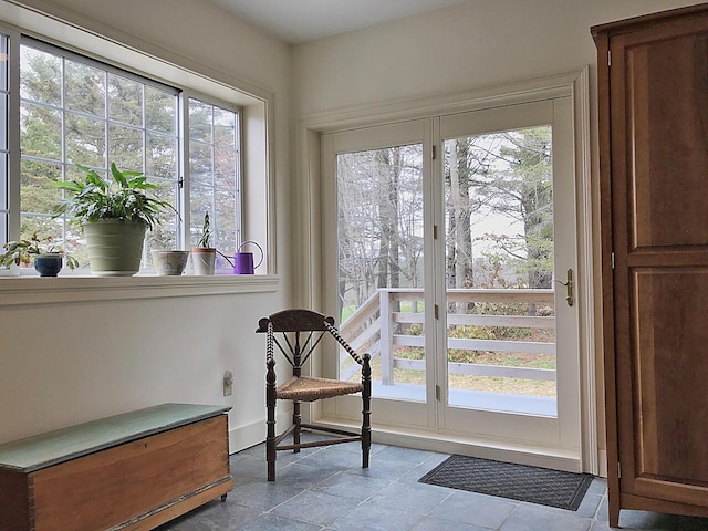 entryway featuring a wealth of natural light