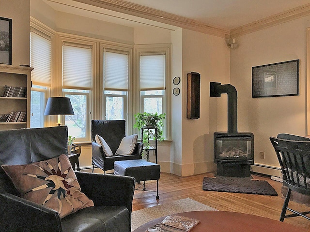 living room with ornamental molding, light wood-type flooring, and a wood stove