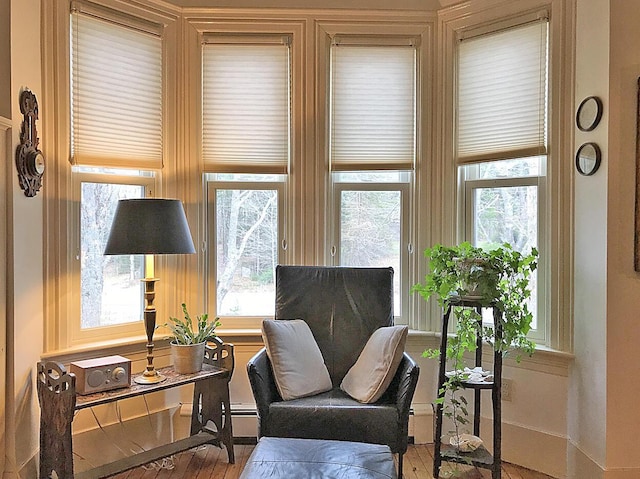 living area featuring wood-type flooring and baseboard heating