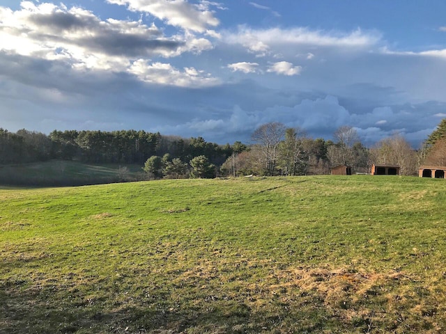 view of yard featuring a rural view