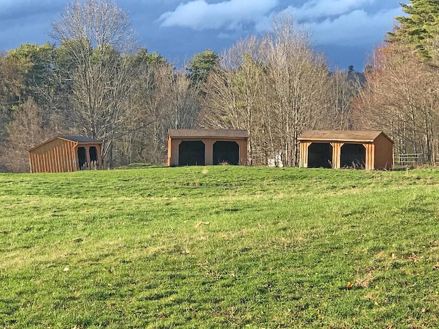 view of yard with an outbuilding