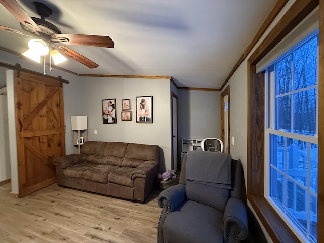 living room featuring ceiling fan, ornamental molding, a barn door, and light hardwood / wood-style flooring