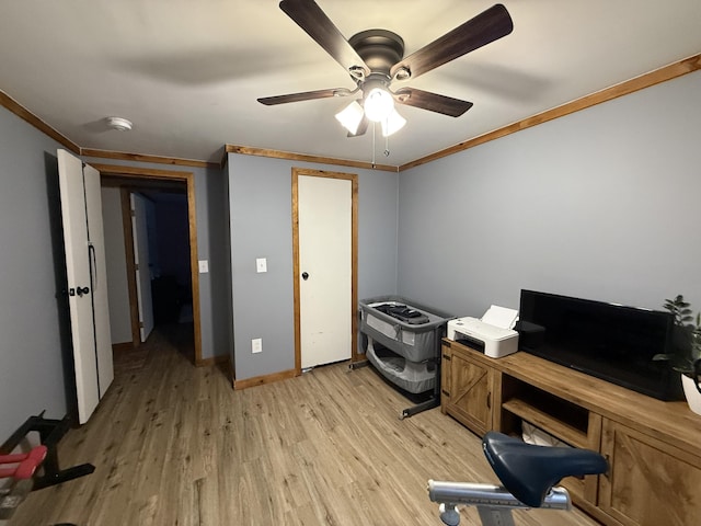 office featuring crown molding, ceiling fan, and light hardwood / wood-style flooring