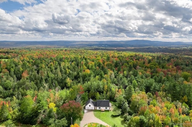 aerial view with a mountain view