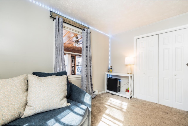 sitting room featuring carpet flooring and a textured ceiling