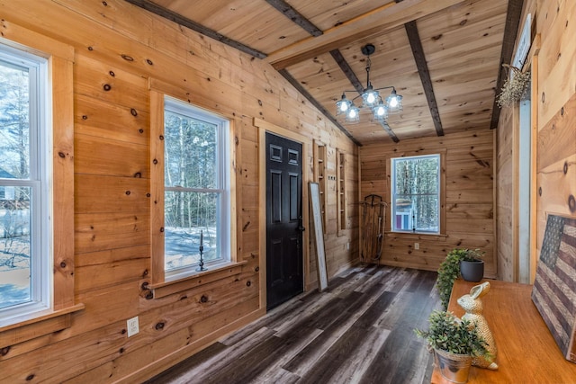 entrance foyer with lofted ceiling with beams, dark wood-style flooring, wood walls, wooden ceiling, and a wealth of natural light