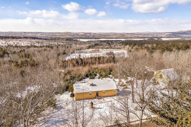 drone / aerial view featuring a mountain view