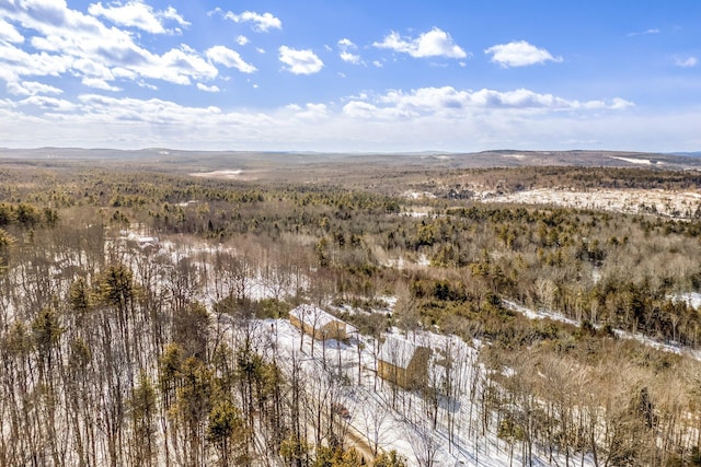 aerial view with a mountain view