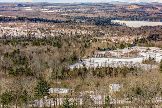 bird's eye view featuring a wooded view and a mountain view