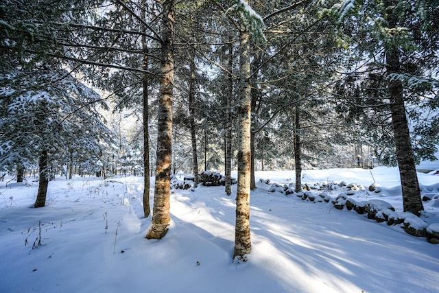 view of yard covered in snow