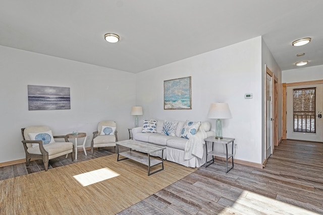 living room with wood-type flooring
