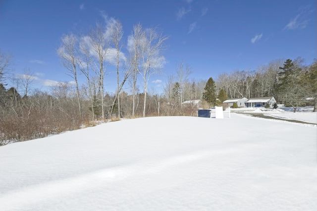 view of snowy yard