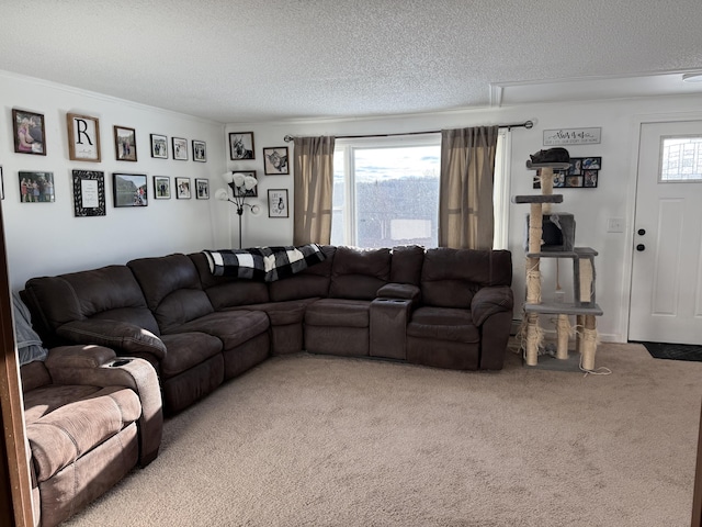 carpeted living room with crown molding and a textured ceiling