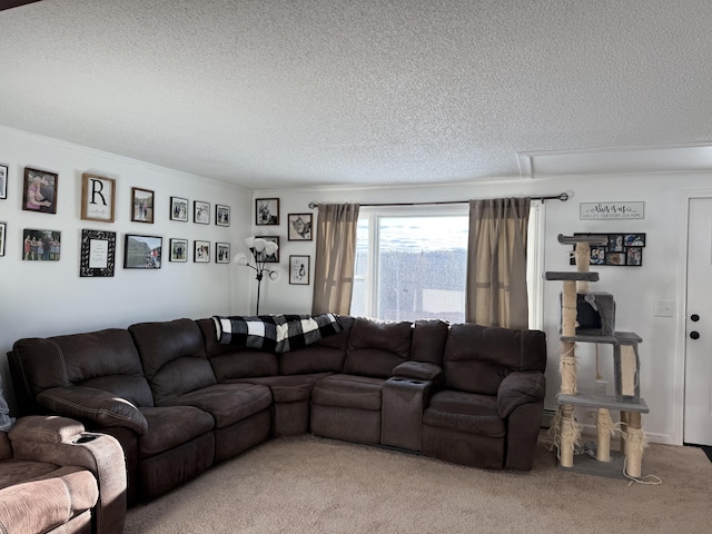 living room with carpet floors and a textured ceiling