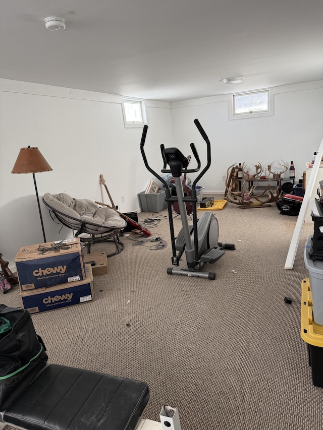 exercise room featuring carpet floors and a healthy amount of sunlight