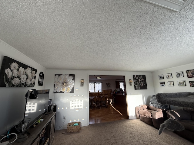 living room featuring carpet and a textured ceiling