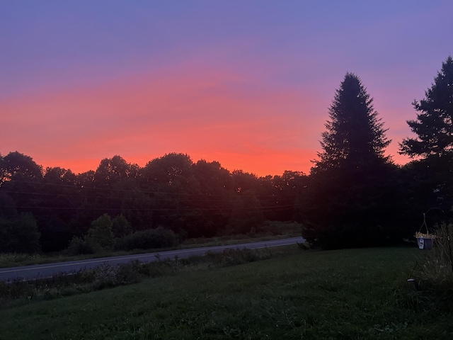 view of yard at dusk