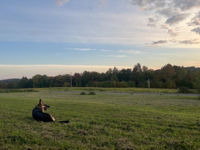 view of yard featuring a rural view