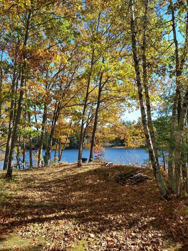 view of water feature