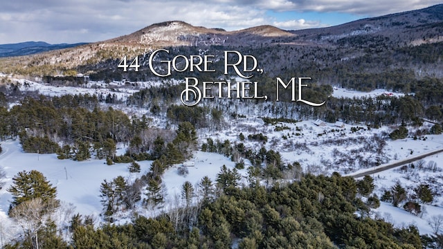 44 Gore Rd, Bethel ME, 04217 land for sale