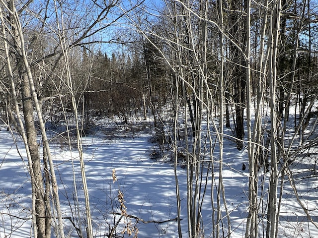 view of snowy yard