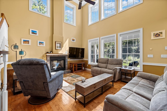 living room featuring a healthy amount of sunlight and light hardwood / wood-style floors