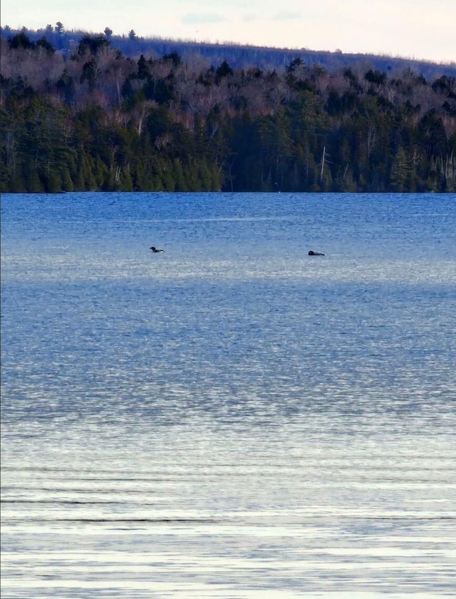 property view of water with a wooded view